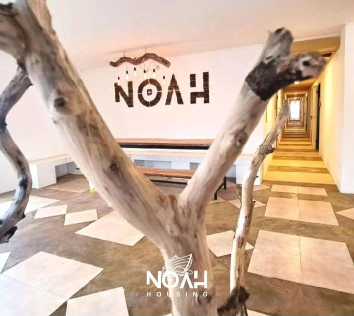 Noah Housing Vandrerhjem Santo Tomé Eksteriør bilde